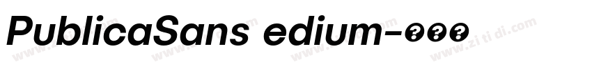 PublicaSans edium字体转换